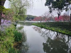 -圩墩遗址公园