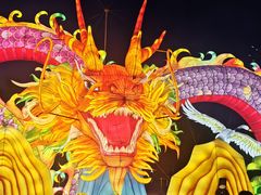 -武汉园博园(武汉自然博物馆)