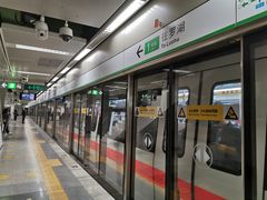 -竹子林(地铁站)