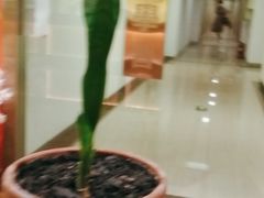 -学习谷日语培训日本留学·多语种外语教学(海淀人大分部)