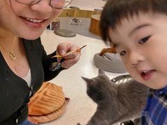 -飞行喵MR PILOT|猫舍·猫咖(静安大融城店)