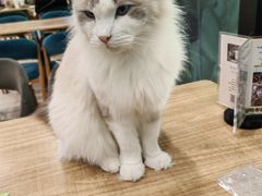 -新碧水留香新桑拿