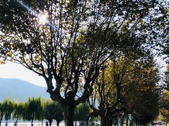 -滇池海埂公园