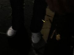 -火炉山森林公园