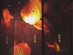 8餐厅-8餐厅(新葡京酒店)