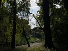-上海滨江森林公园