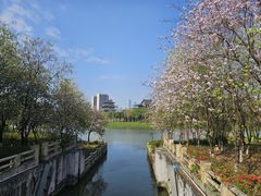 -海珠湖公园
