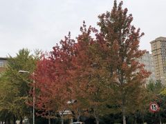 -辽宁大学(崇山校区)