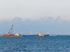 -上海吴淞炮台湾国家湿地公园