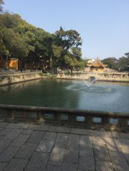 -德哥灰指甲脚气甲沟炎跖疣护理