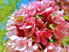 -永定河休闲森林公园