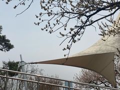 -富斯特索道