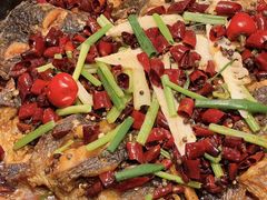 -老板恋上鱼(恒隆广场店)