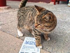 -普陀山风景名胜区-法雨禅寺