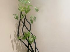 -生态苑农庄(十里画廊遇龙河店)