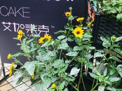 -艾加柒克蛋糕茶歇甜品台(春熙路店)