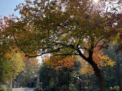 -苏州河梦清园环保主题公园