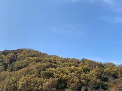 -白草畔自然风景区