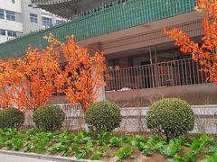 -北京协和医院(东单院区)