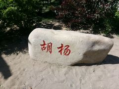 -武清南湖绿博园