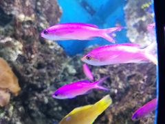 -欢乐海岸海洋奇梦馆