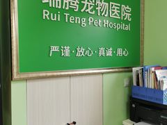 -圣宠动物医院·犬猫专科·影像中心·外科中心