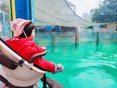 -海合安成都极地海洋公园