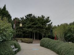 -古塔公园