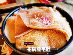 招牌脆毛肚-月满大江火锅(总府路店)