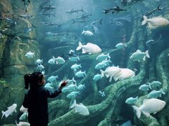 -波塞冬旅游度假区