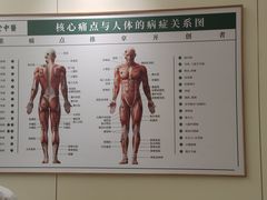 -通透堂中医·精准推拿(万科云城分院)