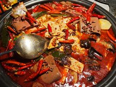 毛血旺烤鱼-探鱼·鲜青椒爽麻烤鱼(天河优托邦店)