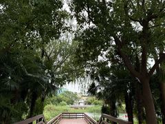 -新江湾城公园