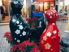 -猫咪博物馆(顶澳仔猫街店)