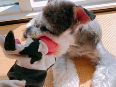 -仰生如卉推拿养生馆(酒仙桥店)