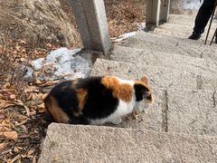 -北京凤凰岭