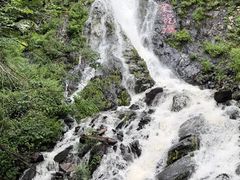 -凤凰山国家森林公园