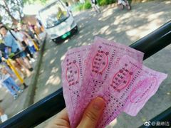 -大湾区中央湿地公园