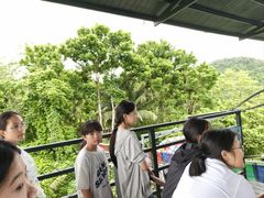 -海南槟榔谷黎苗文化旅游区