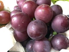 -美家乐农庄·露营·团建(大治路店)