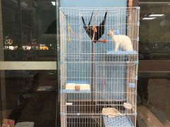 -瑞鹏宠物医院·内科·中兽医·骨科(苗圃店)