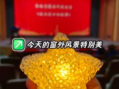 -上海市东方医院(总院)