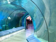 -福州罗源湾海洋世界旅游区