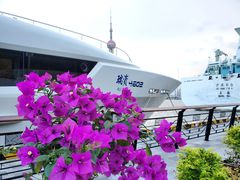 -北外滩滨江绿地