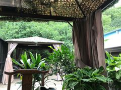 -小湾茶楼