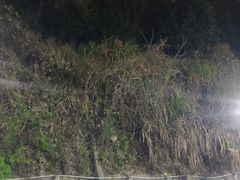 -福道