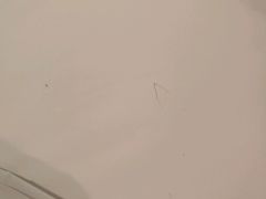 -上海如意智慧酒店(上海科学院店)