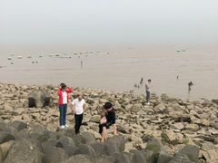 -南汇嘴观海公园