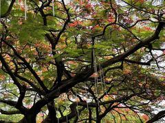 -缘生态云南菜·野生菌庭院餐厅(华侨城店)