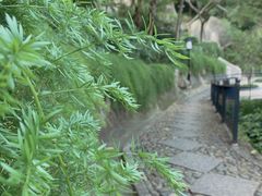 -鸿山公园